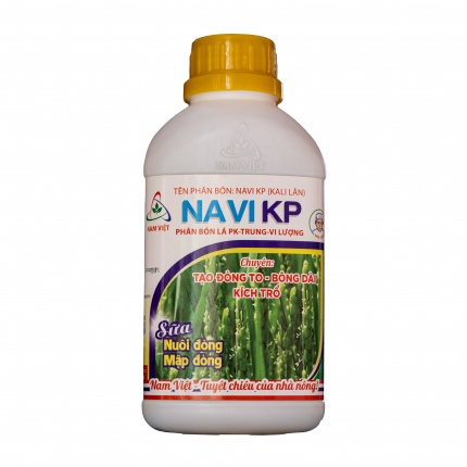 NAVI KP - ĐÒNG TO